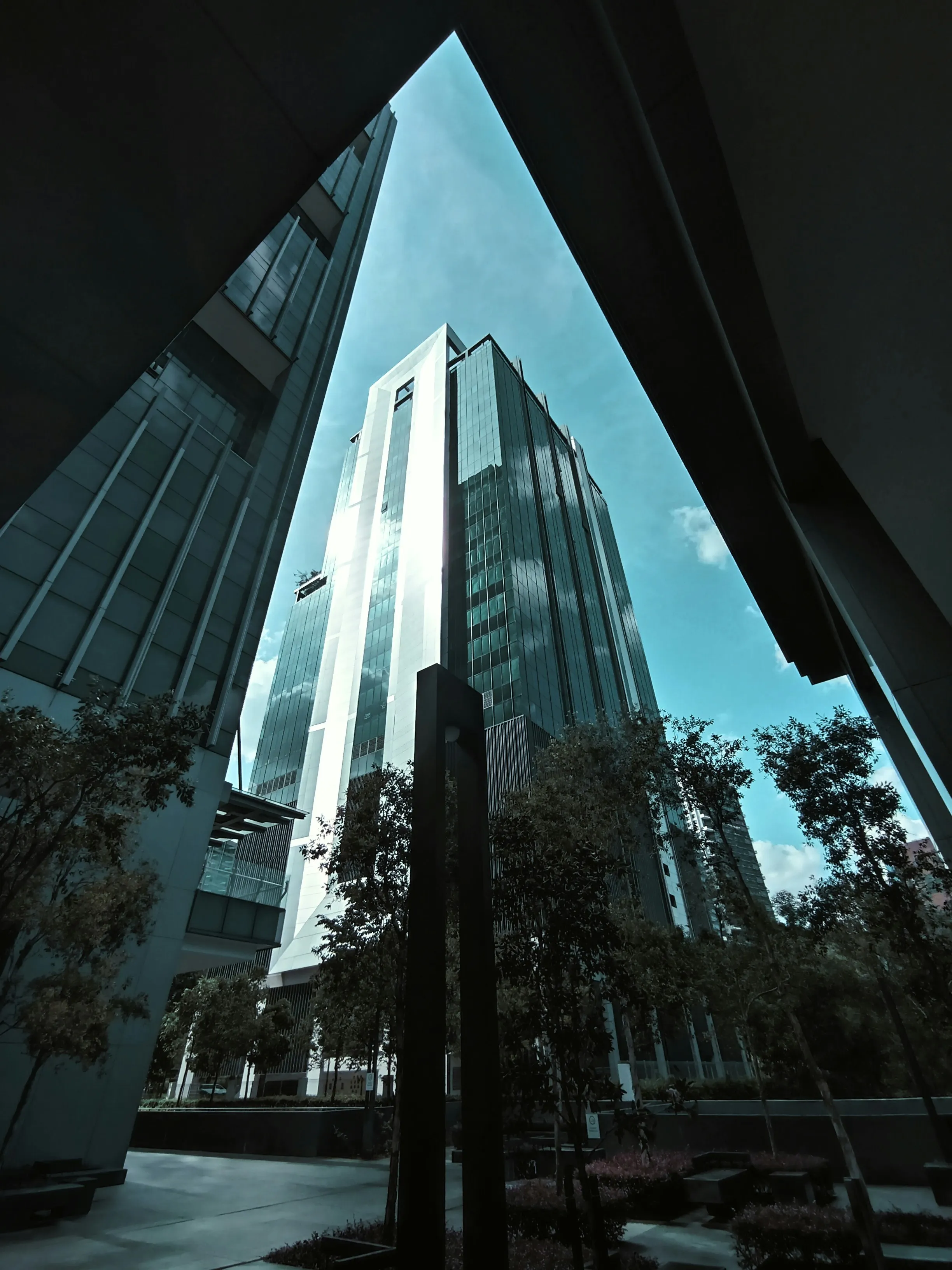 Commercial Plumbing Services